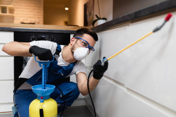 Best Pest Prevention Services  in Glenns Ferry, ID
