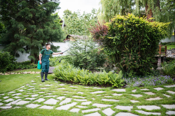 Best Pest Inspection Near Me  in Glenns Ferry, ID
