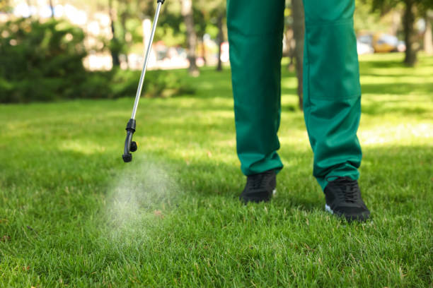 Professional Pest Control in Glenns Ferry, ID
