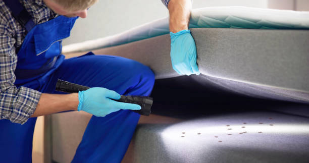 Best Local Pest Control Services  in Glenns Ferry, ID