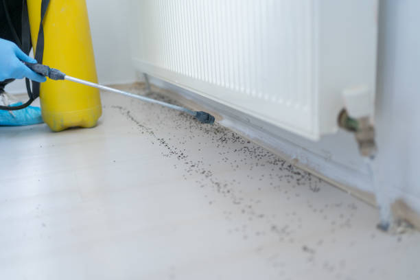 Best Mosquito Control Services  in Glenns Ferry, ID