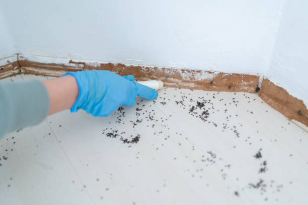 Best Pest Prevention Services  in Glenns Ferry, ID
