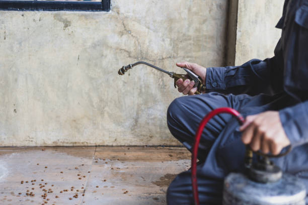 Best Affordable Pest Control Services  in Glenns Ferry, ID